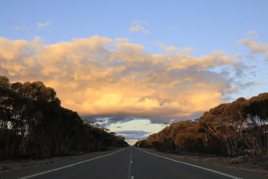 A road in Australia going straight to a vanishing point on the horizon. There are trees on either side and clouds in the sky.